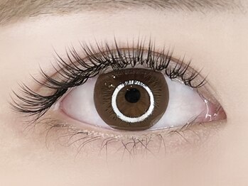 パキラ(Pachira)/自然に馴染む“短め”デザイン