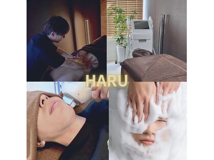 ハル(HARU)の写真