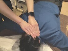 ボディテラピーサロン ナカムラ(Body Therapy Salon Nakamura)の雰囲気（指がぐいぐい入る、触るところ全てがピンポイントなど感想多数！）