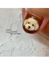 カシェナ バイ クゲヌマ リコネイル(CACHE:na by kugenuma RICONAIL)/