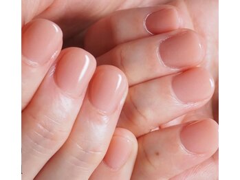 ラピシア(Rapicia)/