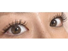 ダリア(Dahlia)/バインドロック１００束★