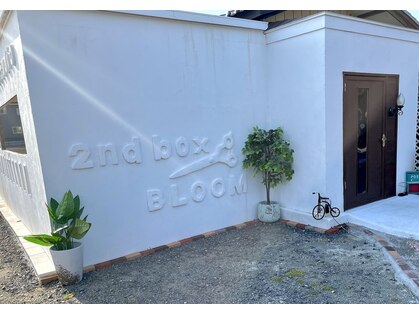 セカンドボックスブルーム(2nd Box BLOOM)の写真