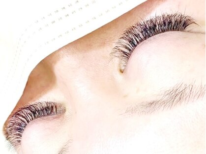 シーペアー(Sea pear)の写真