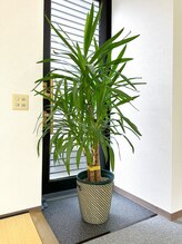 加納指圧治療院/