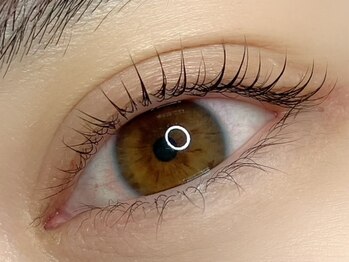 ラヴィアスプラス(LAVIAS+)/まつげパーマ/ラッシュリフト