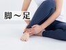 脚・膝・ふくらはぎ・足、下肢のお悩み改善＋全身調整　【60分】