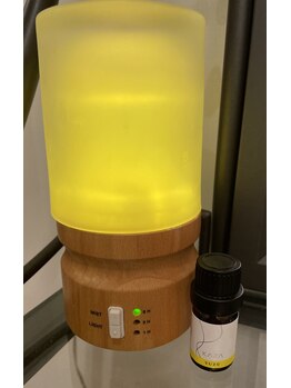 サクラ(Sakura)/12/21は冬至。