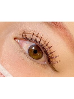 エクステの種類が豊富