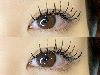 ニコ(NICO)/ニコラッシュ120束