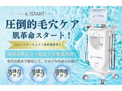 フローフシ∞の写真