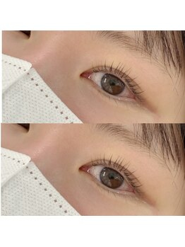 アンジェリークアイラッシュ(Angelique Eye Lash)/まつげパーマ