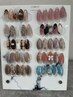 定額ネイル自店オフ込み¥7700円