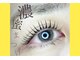 バニーアイズ 銀座店(Bunny eyes GINZA)の写真