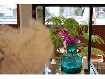 トリコ 調布(TRICO)/店内インテリア