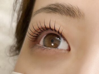 目元とカラダがととのうサロン Rees -Lash Relax-の写真/【宝殿駅徒歩5分】まつげを整えると印象が変わる♪自然体の中に上品さが宿る“整うまつげ”が人気♪