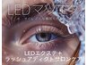 ★LEDマツエク＆自まつ毛もハリコシビンビンコース100～120本★
