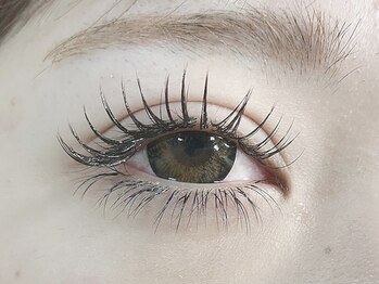 エイトラッシュ(8-lash)/上下無制限付け放題