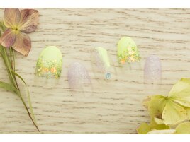 ホログラデーション