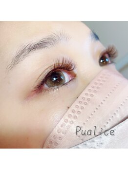 ピュアリス(Pualice)/全体カラー