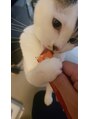 しろねこ整体院&nbsp;相棒のたまちゃんです。ちゅーる食べるときの眼つきは鋭い（笑）