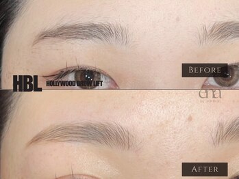 エナ バイ アオヒゲ(ena by AOHIGE)/レディース眉毛/アイブロウ/HBL