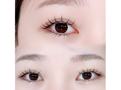 アグライア(Aglaia)の写真