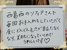 ソフィアパレス 西葛西店/2025/11月