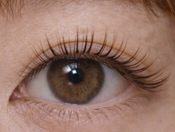 チック(chick)/LEDフラット80束◇