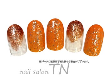 ティーエヌ イオン新潟青山店/8月季節の定額5900円コ―ス