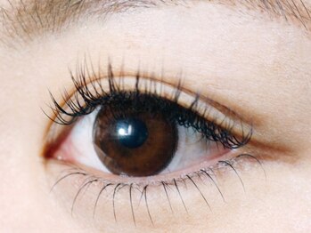 エムアンドコウ(M&Co.)/上下つけ放題★11000ｙen