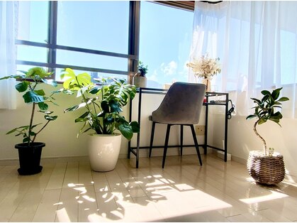 エース アイドット(ACE eye.)の写真