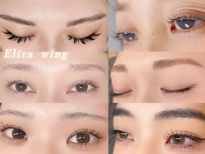 エリラ ウィング 自由が丘(Elira Wing)の写真