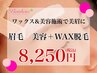 【人気★８,２５０円】眉毛ワックス脱毛…ワックス&美容施術で美眉に♪