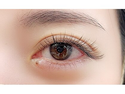 アイラッシュフォーティーファイブ(eyelash forty-five)の写真