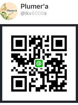 プルメリア(Plumer’a)/LINE友達☆特典盛り沢山