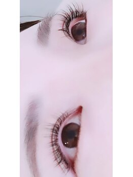 コア(Koa)/フラットラッシュ100本