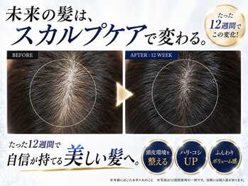 BLD/クリニカルスカルプケアB&A
