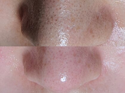 シエスタ 新小岩の写真