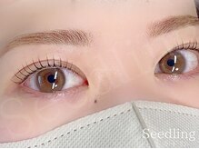 シードリン(Seedling)/眉毛ワックス×まつげパーマ