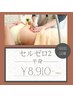 【3回目以降の方はこちら！】セルゼロ2下半身リピート割☆10500円→8910円☆