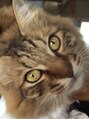 スタイルラボ 南青山サロン(StyleLabo) 関西の実家では猫を5匹飼ってますが、ワンちゃんも大好きです!