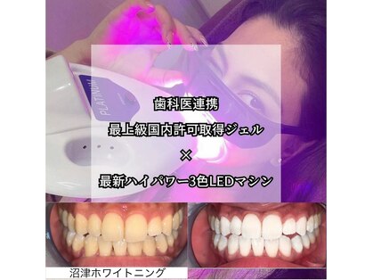 スタイリッシュビューティー(stylish beauty)の写真
