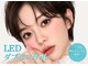 スパイス 心斎橋店(Spice)の写真
