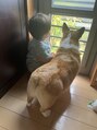 アン(an) 1歳半の息子と実家の愛犬と過ごす日々が大好きです♪