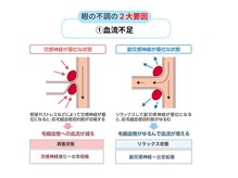 アイケアラボ 大阪堀江店(アイケアLaBo)/眼の不調の２大要因