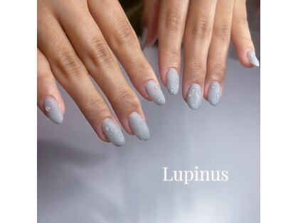 ルピナス(Lupinus)の写真
