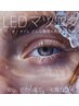 導入記念☆圧倒的持続力【最新LEDグルーに変更】※マツエクとセット選択必須