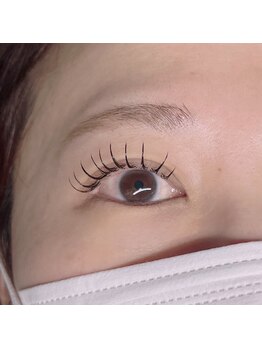 シトロン(CITRON)/フラットラッシュ120本