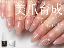 ディーバ 横浜店(Diva)